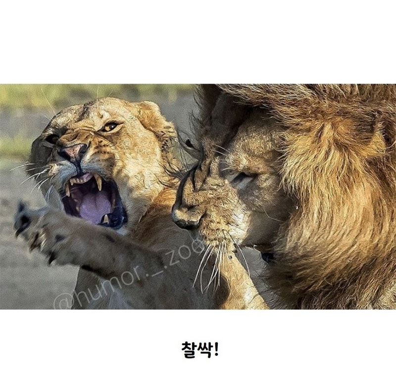 동물원 입장료4.jpg