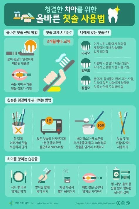 칫솔관리법.jpg