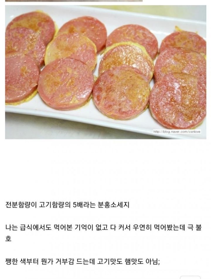 분홍소세지.jpg