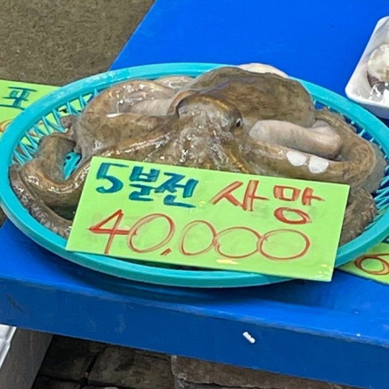 신선했던것.jpg