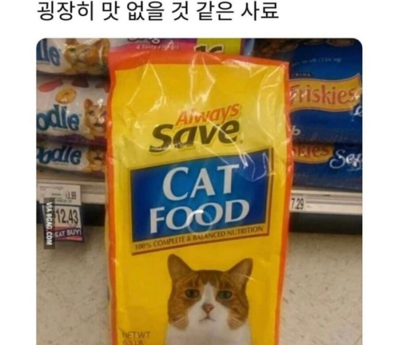 굉장히맛없을거같은사료.jpg