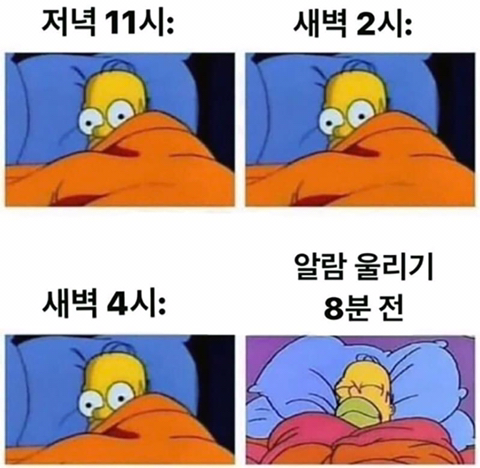 불면증 특징.jpg