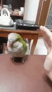 aoegame-20200512-073250-000.gif
