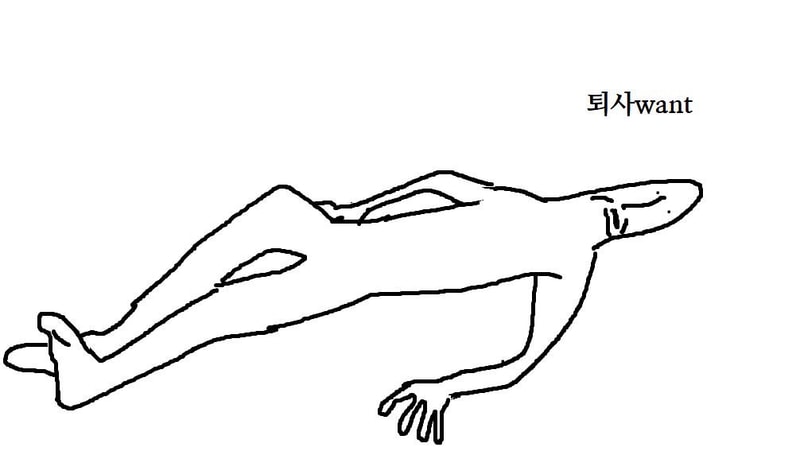 823B885A-FF9A-4811-B6DF-77E9360CF2D0.jpeg