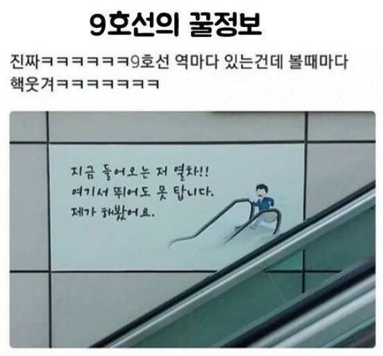 9호선.PNG