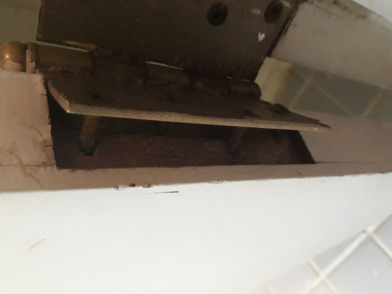 20191223_083520.jpg