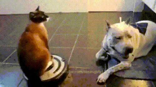 111111111.gif