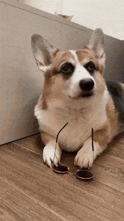 54424315686034970.gif
