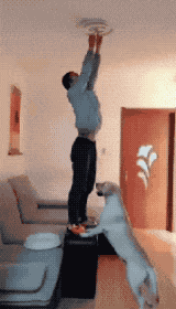 1.gif