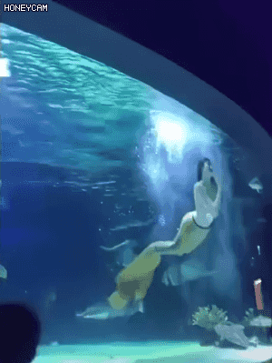 Q4Ln7Jt.gif