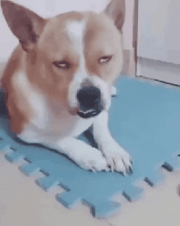 20190415_182117.gif