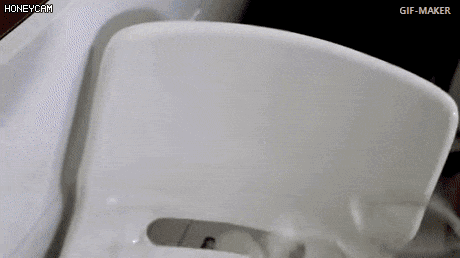 C50C2E2C-4C29-46EF-A1B2-30A9D48B1FD0.gif