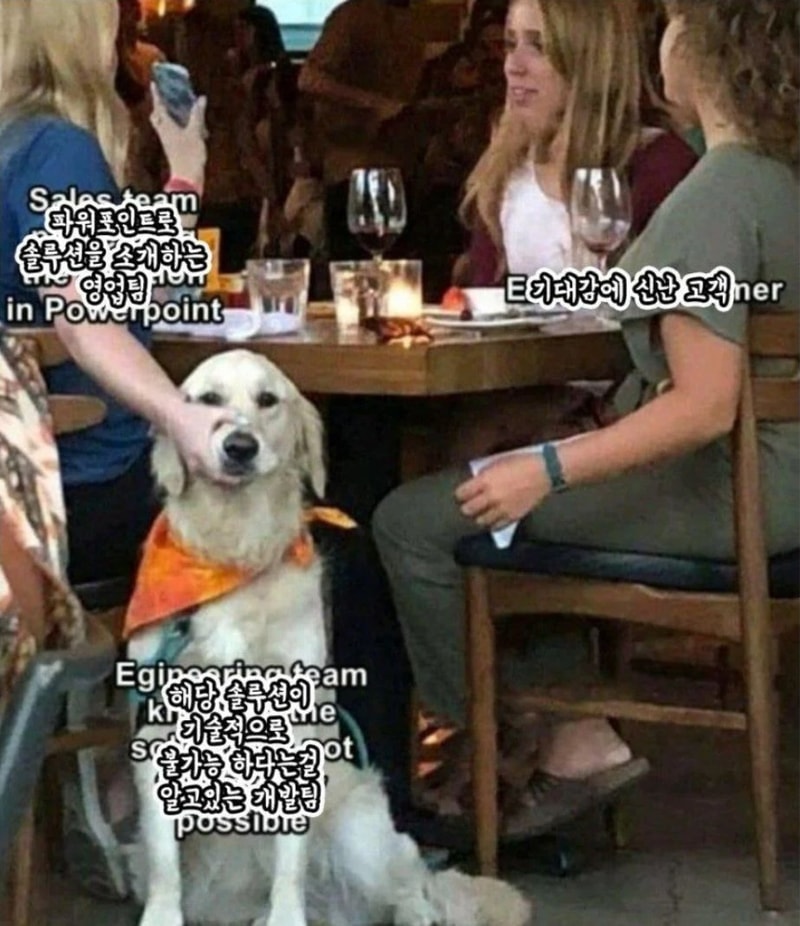 img.jpg