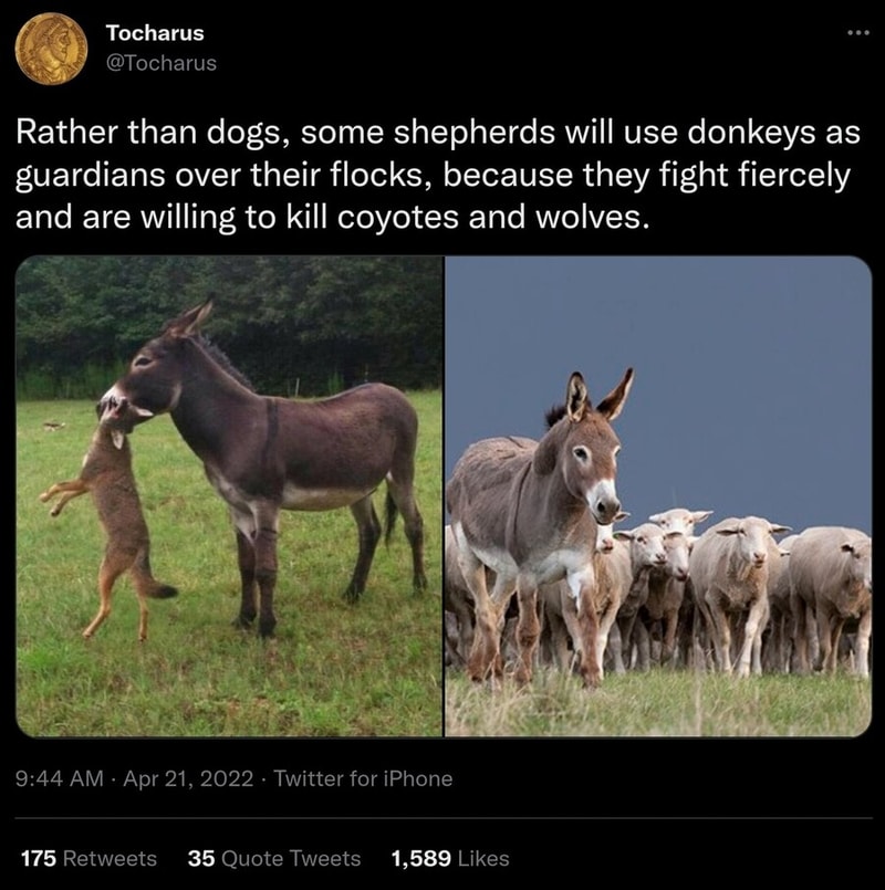 001262a5c3ac4f2b12274507.jpg