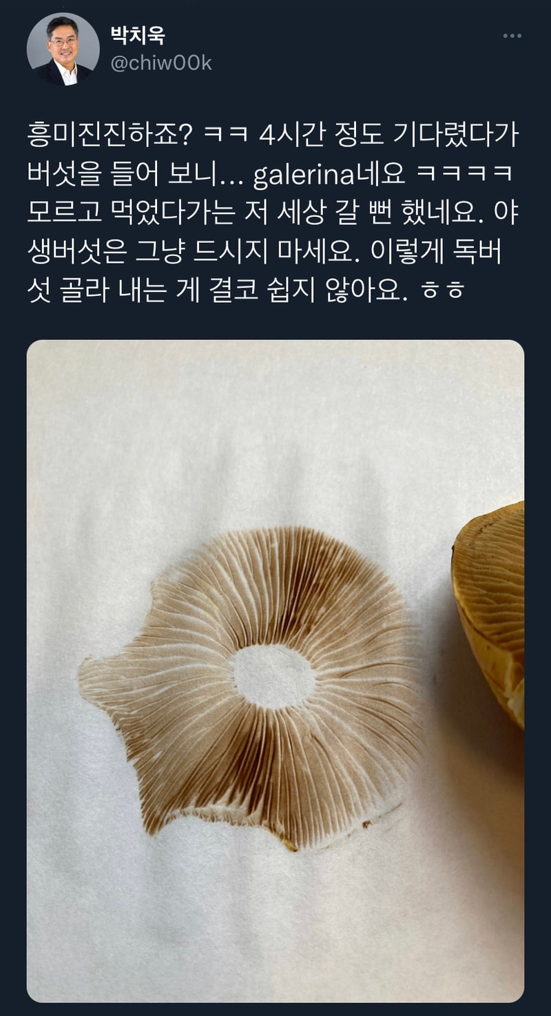 3 1.jpg