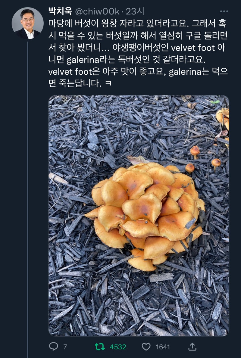 1 1.jpg