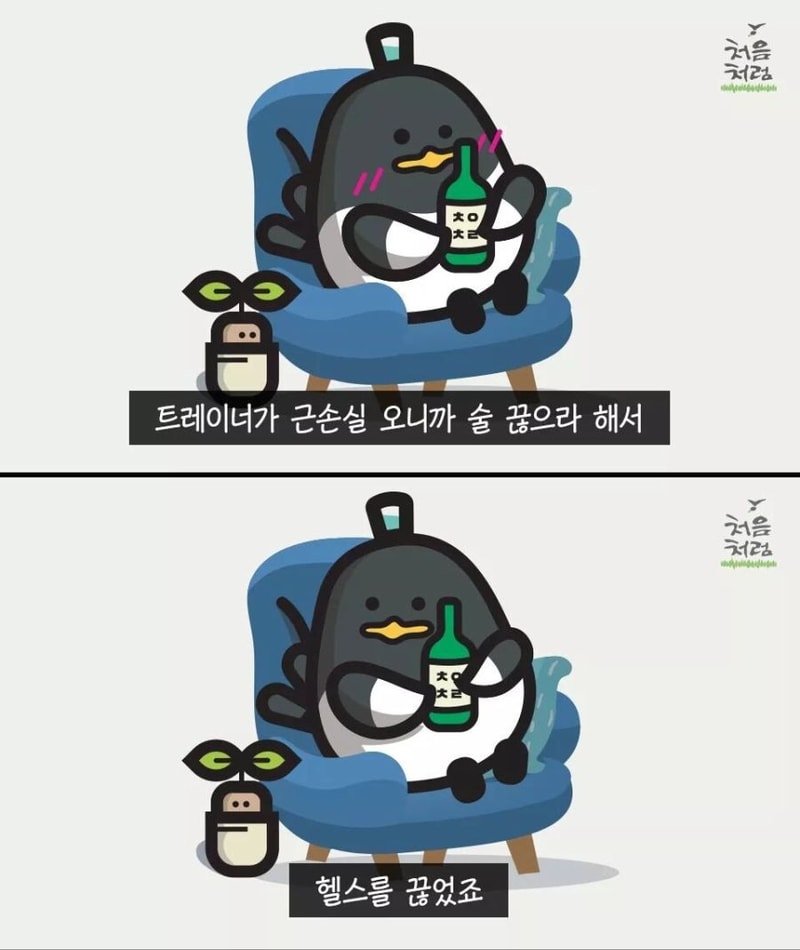 16ccbbc5d4c4ee55a.jpg