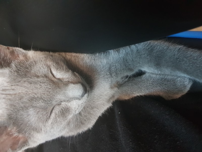 20170915_143949.jpg