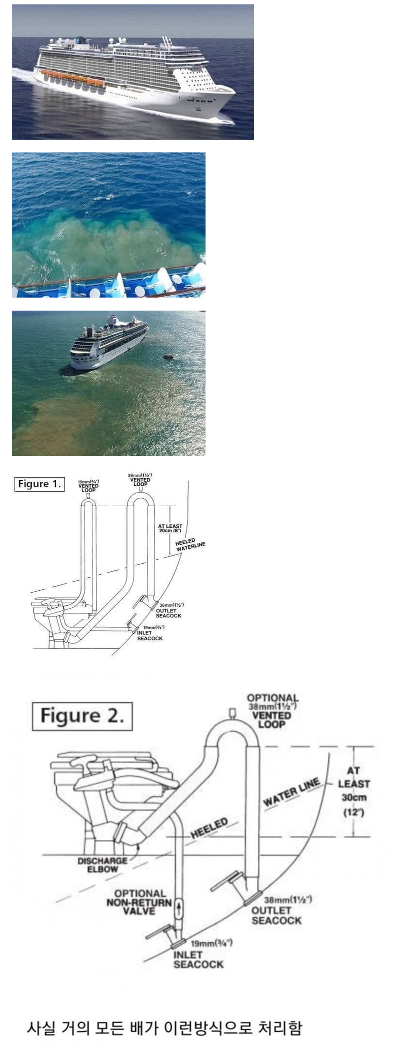 image 3.png
