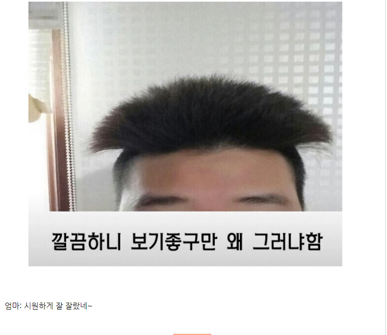 image 5.png