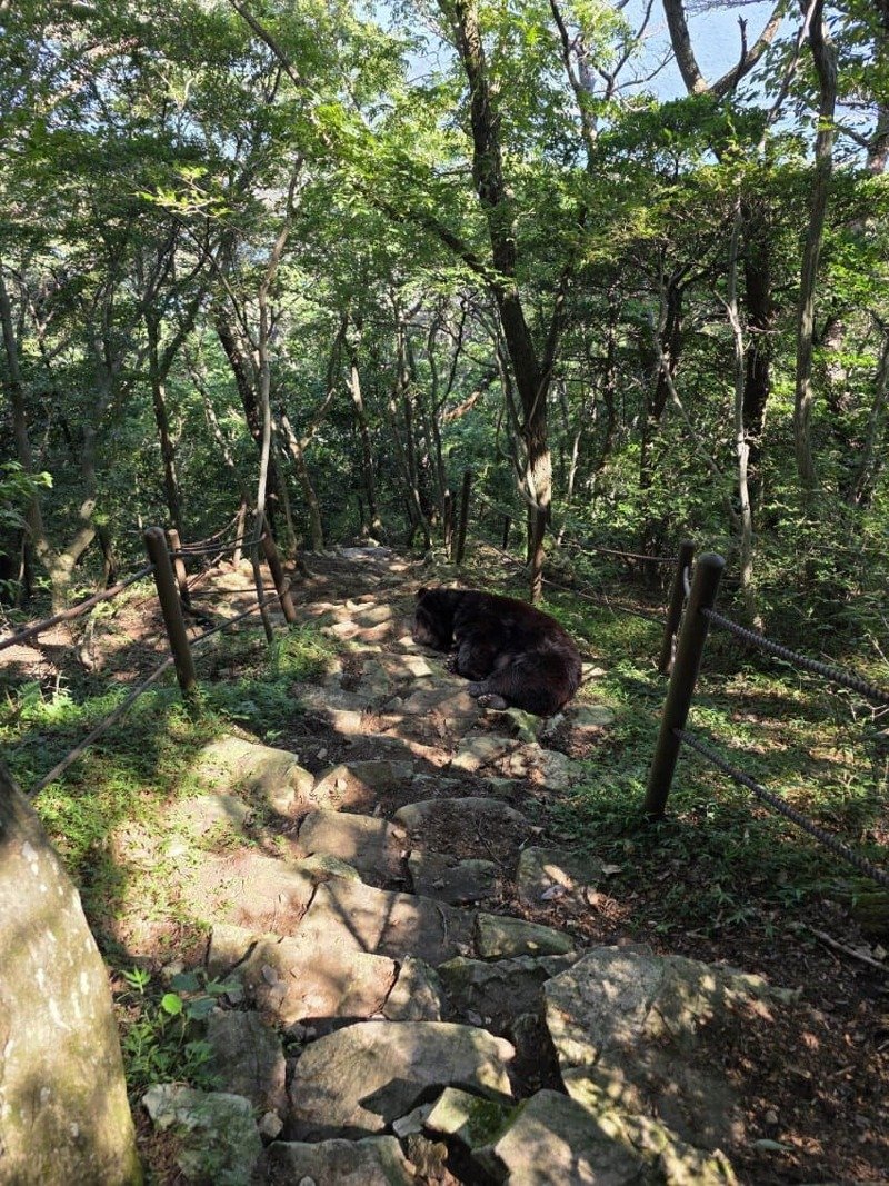 이젠 놀랍지도 않은 지리산 근황