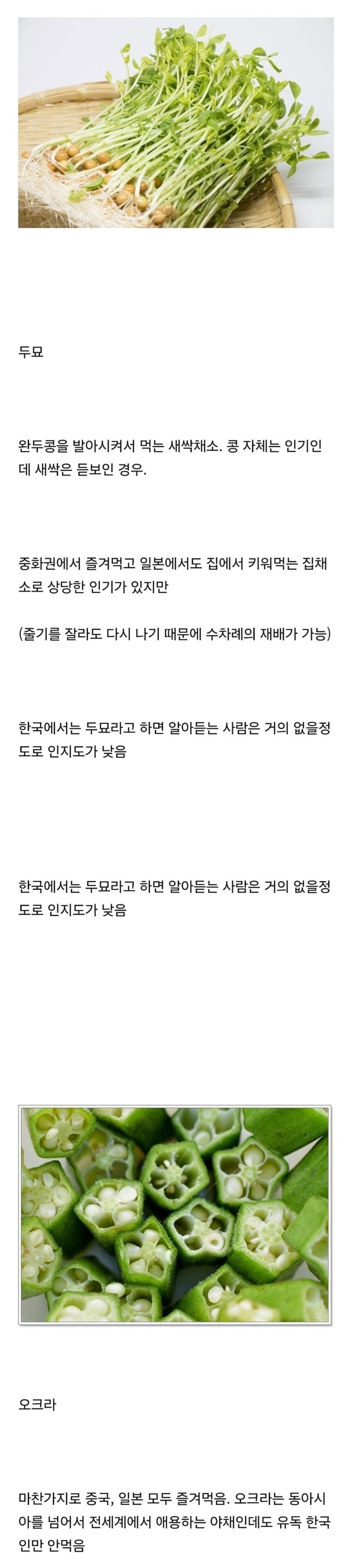 한국에 유독 인지도없는 채소 두개.jpg