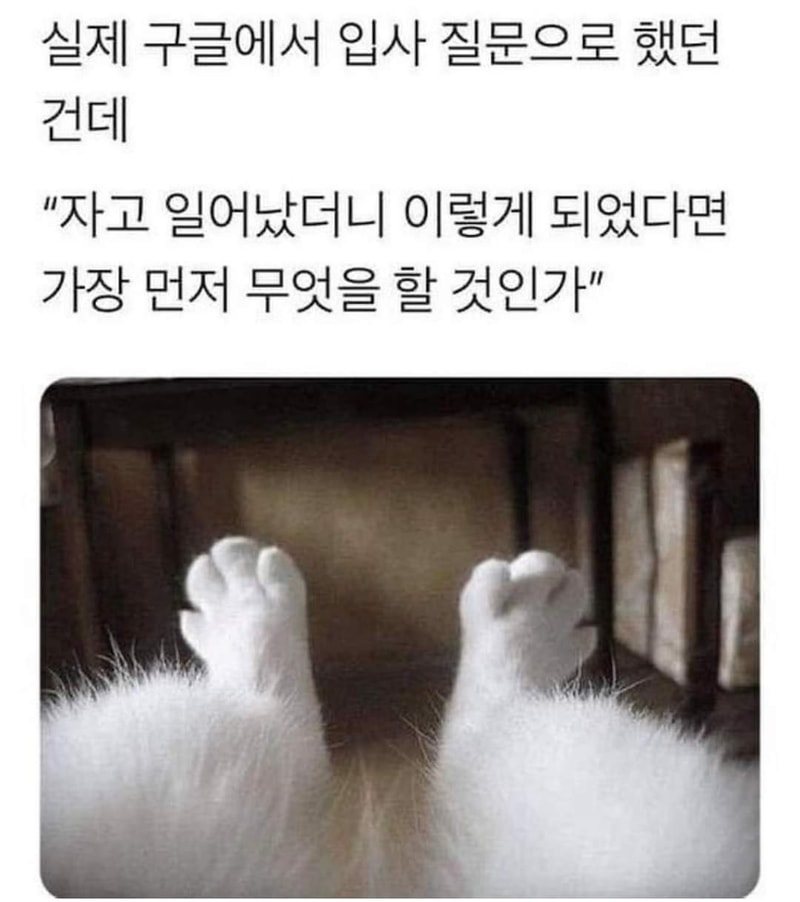 50CF0404-5E96-4F04-B33B-43EC7AB87FFF.jpeg