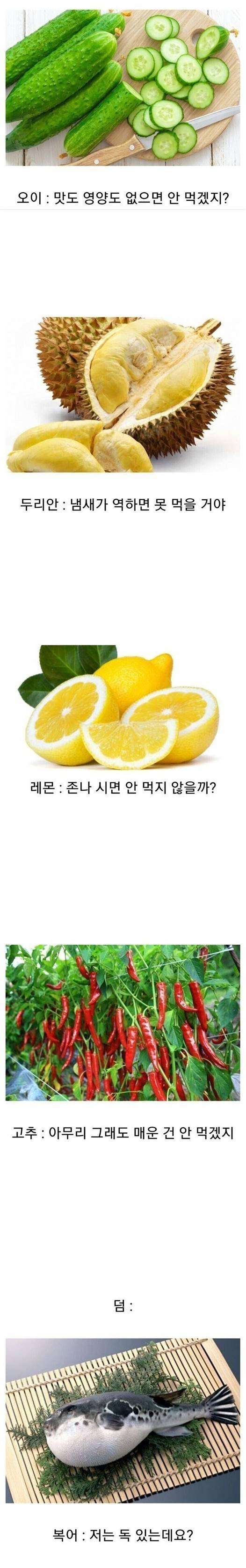 1683124114c6c30959cade4d1b9e4a8df1fd396ea3__mn537055__w526__h3351__f206609__Ym202305.jpg
