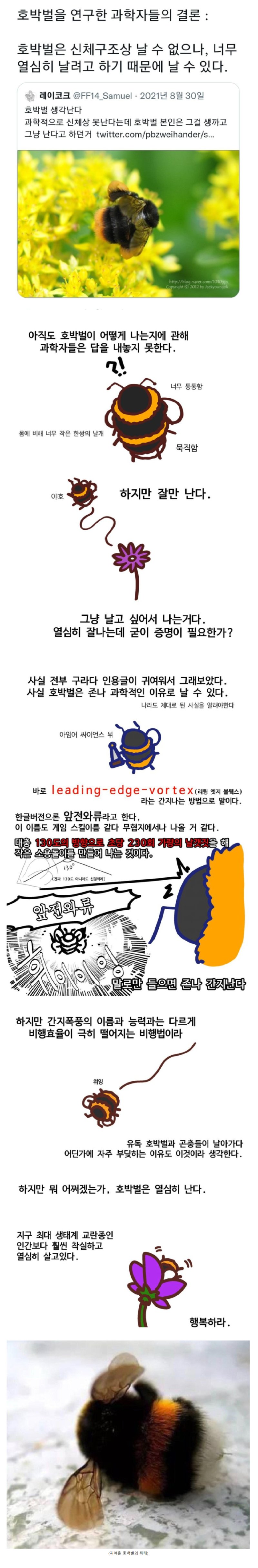 AE09E824-DB48-4A90-B527-46EB5C909258.jpeg