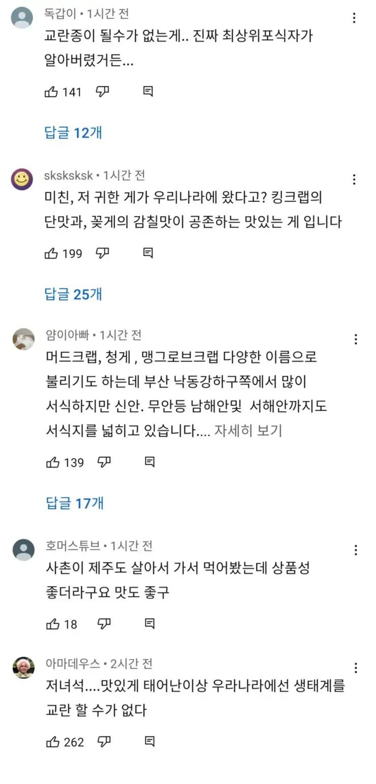 1685525443f6b45039e68546f49a3d3b44a9c67378__mn805605__w740__h1542__f94277__Ym202305.jpg