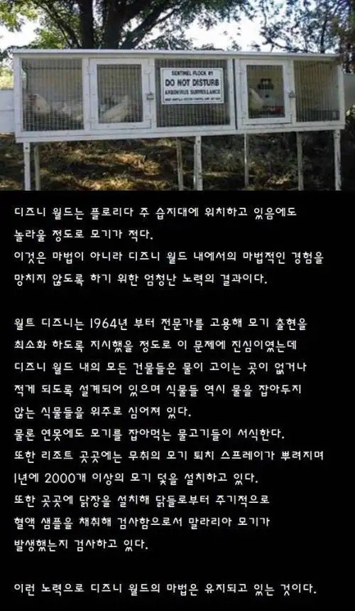 1680710264ff839ea5b453435781e2a4deb8e117cf__mn117629__w500__h859__f92115__Ym202304.jpg