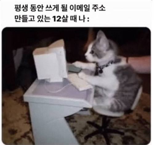 1701560509bb27007457a14d04a577f4028aef9819__mn88670__w500__h471__f25285__Ym202312.jpg