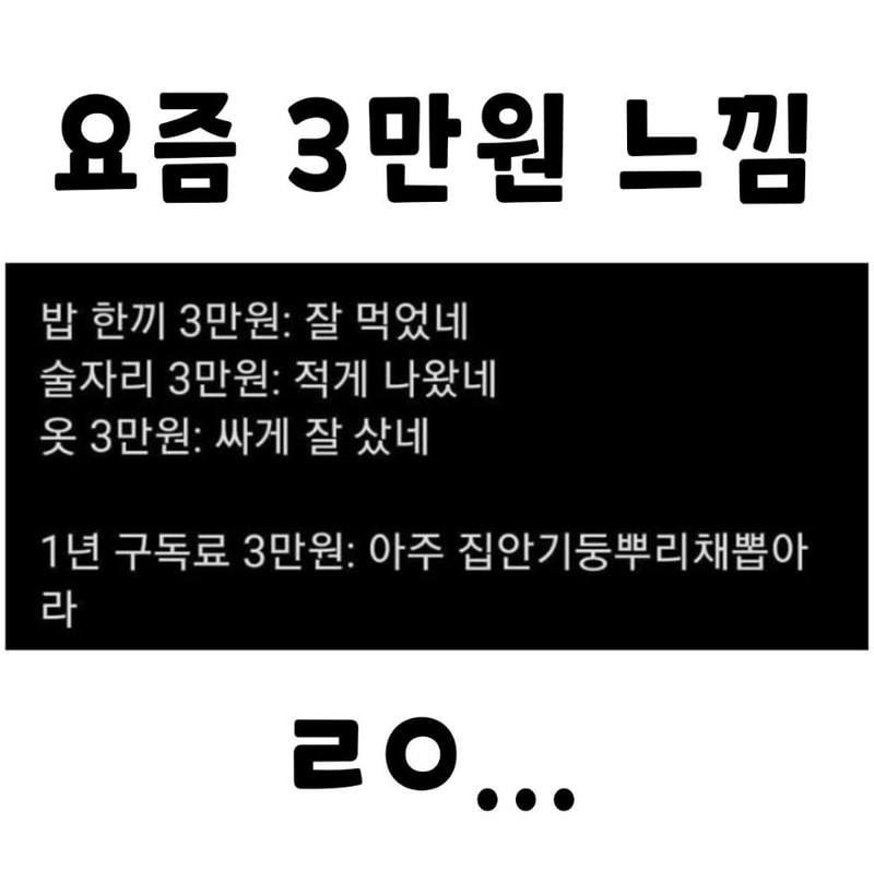 17022857633f7949b4366a4328bcdf588b7fbccc8a__mn806986__w878__h877__f50325__Ym202312.jpg