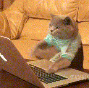 externalFile-38.gif