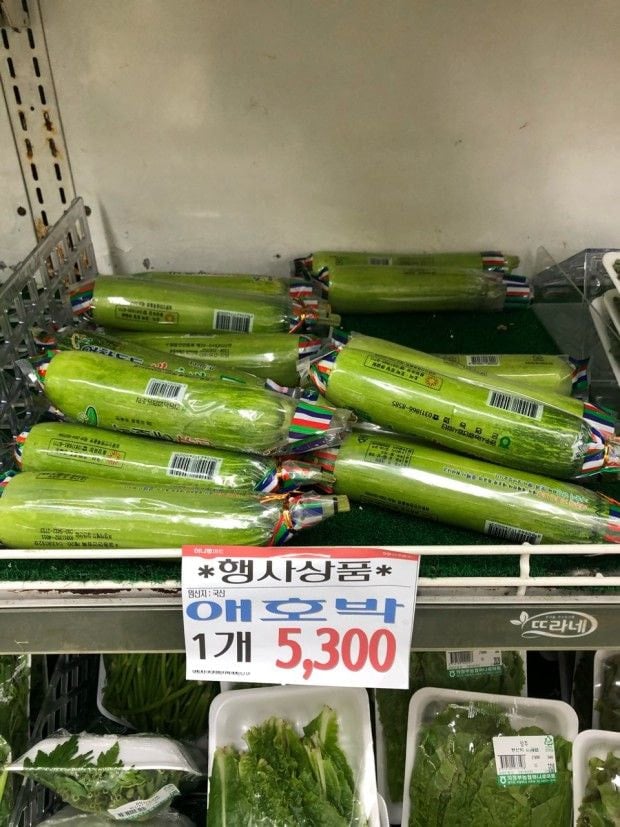 다운로드파일_20230307_223404.jpg