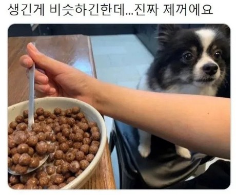제꺼.jpg