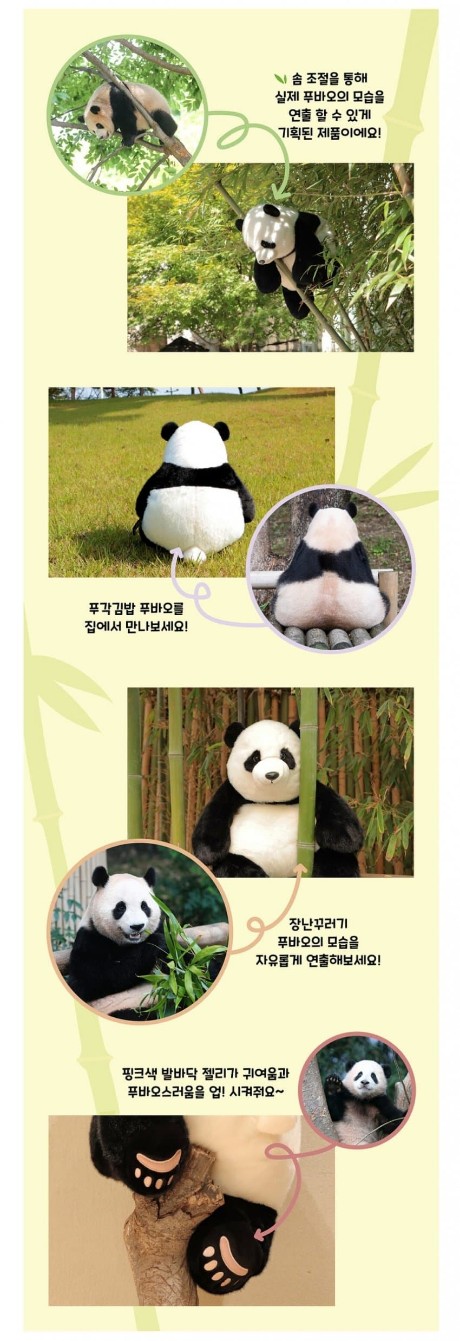 푸바오.jpg