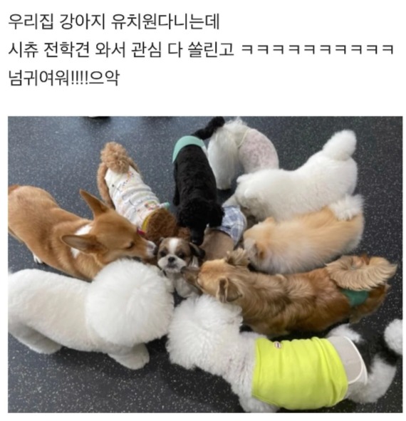 다운로드.jpg