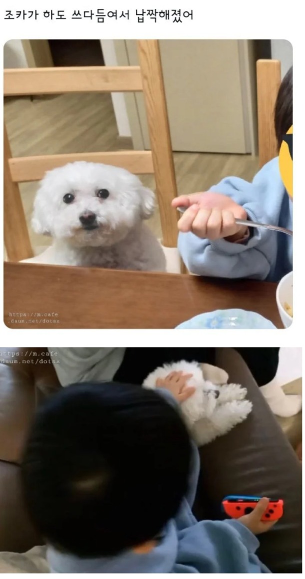 조카가 하도~.jpg