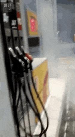 OptimisticMetallicGalah-size_restricted.gif