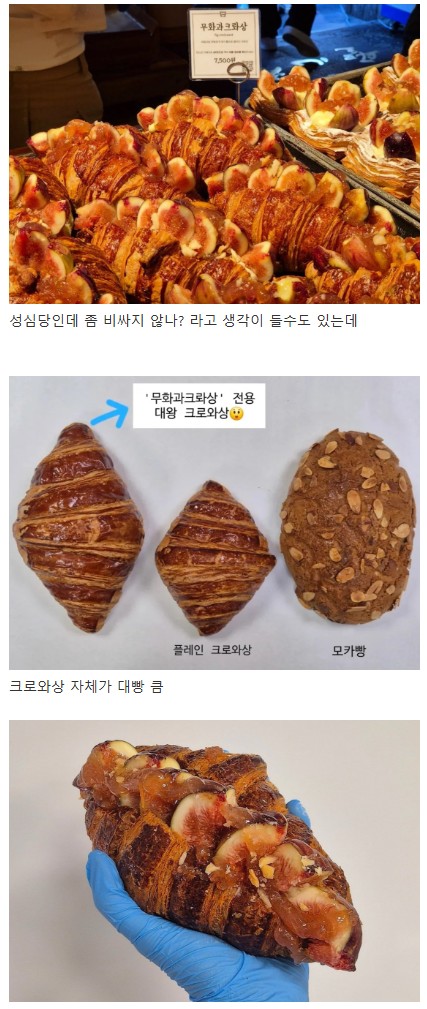 성심당 신메뉴 무화과크로와상 7500원