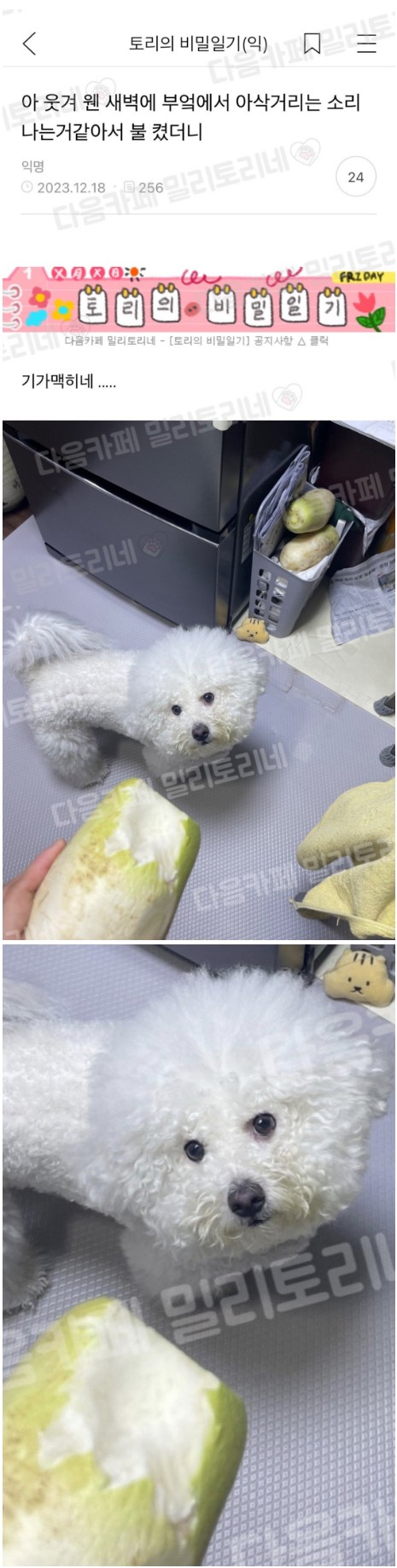 새벽서리.jpg