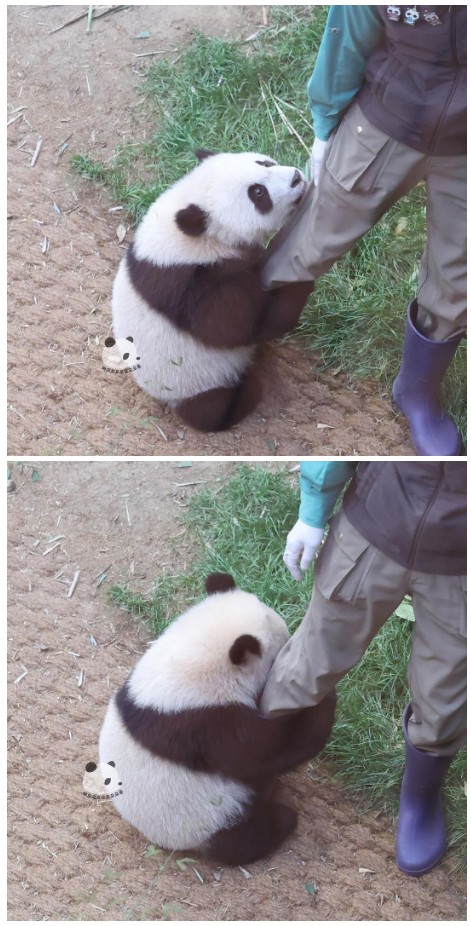 후이.jpg
