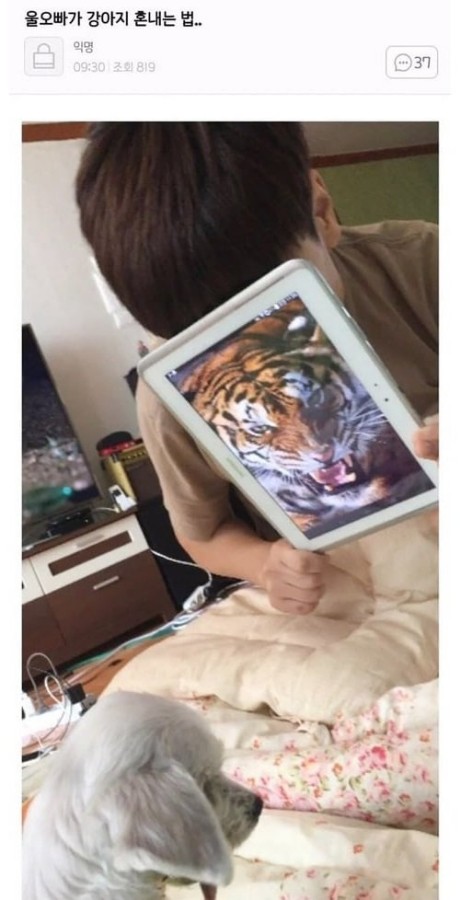 호랑이.jpg