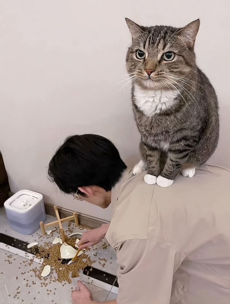주인님을 모시는 집사