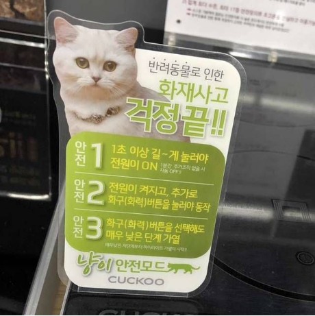 고양이.jpg