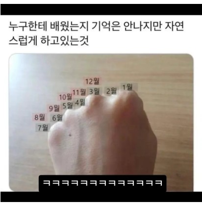 한번만 배우면 평생 써먹을 수 있는 인생꿀팁