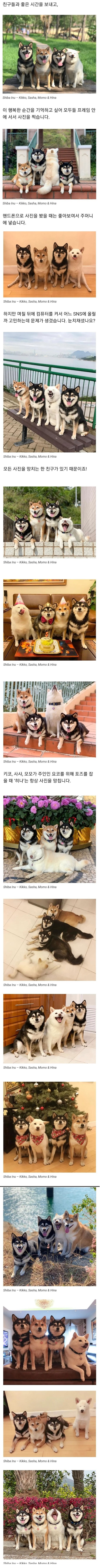 Screenshot 2023-05-03 at 12.19.19.jpg