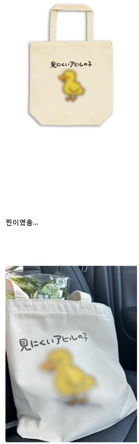에코빽.jpg