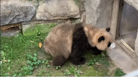 흙곰.jpg